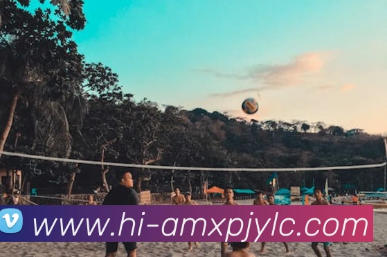 新葡京娱乐APP 封面图